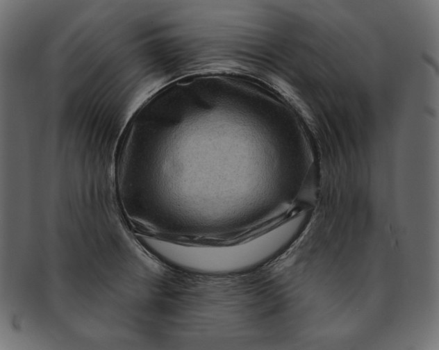 X0000091851234200709261201