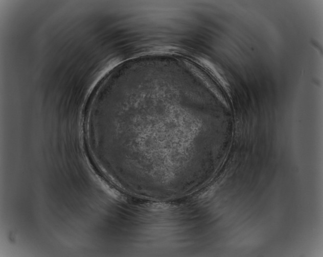 X0000091851235200709261201