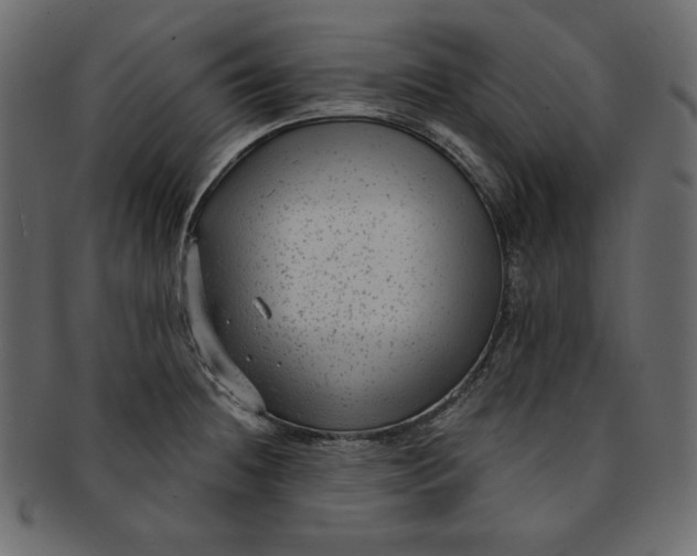 X0000091851236200709261201