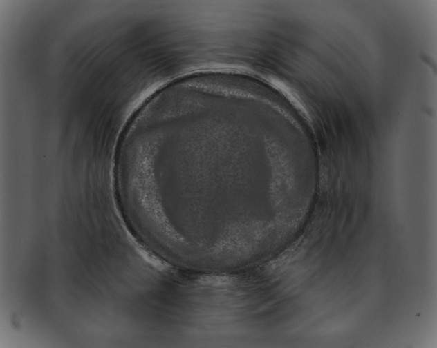 X0000091851237200709261201