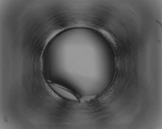 X0000091851238200709261201