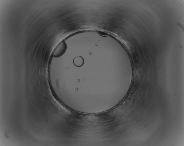 X0000091851239200709261201