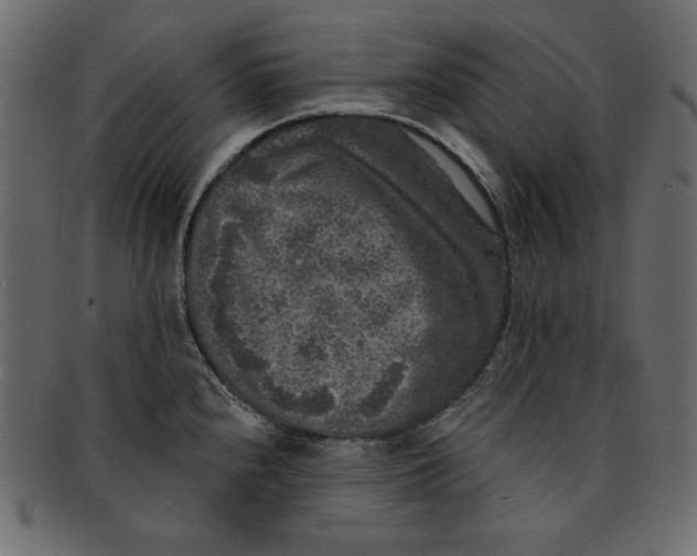 X0000091851240200709261201