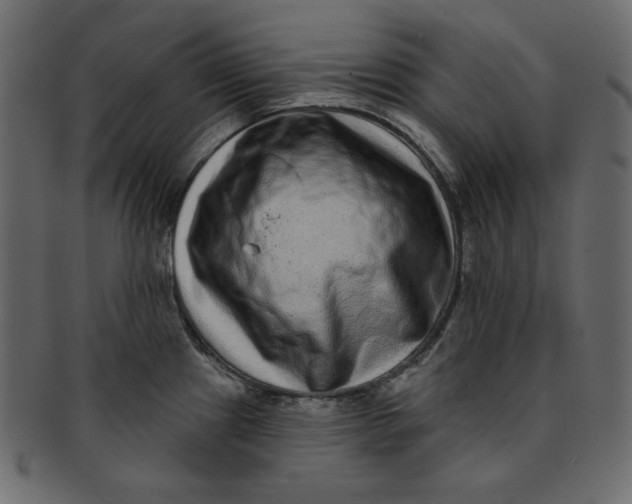 X0000091851241200709261201