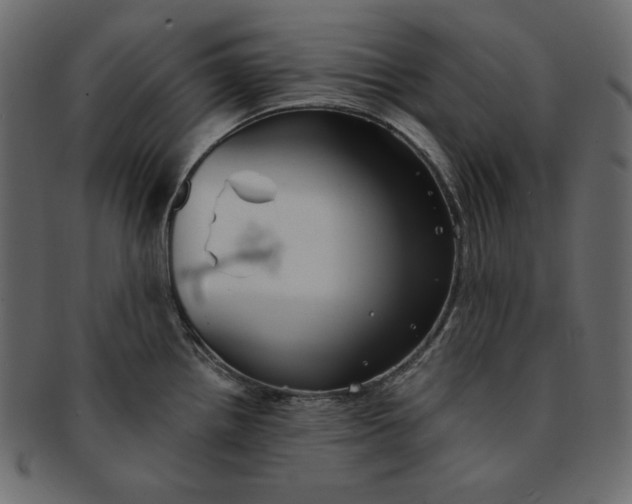 X0000091851242200709261201