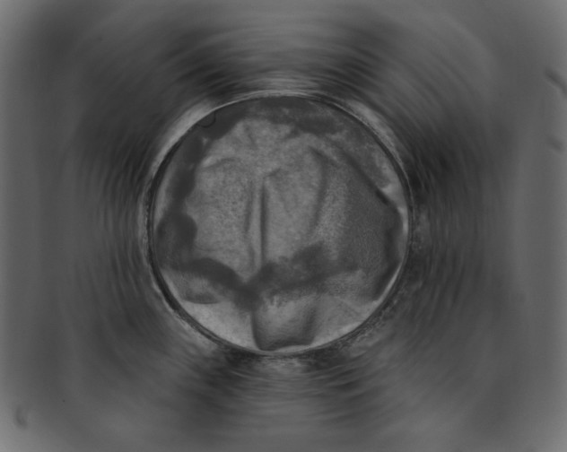 X0000091851243200709261201