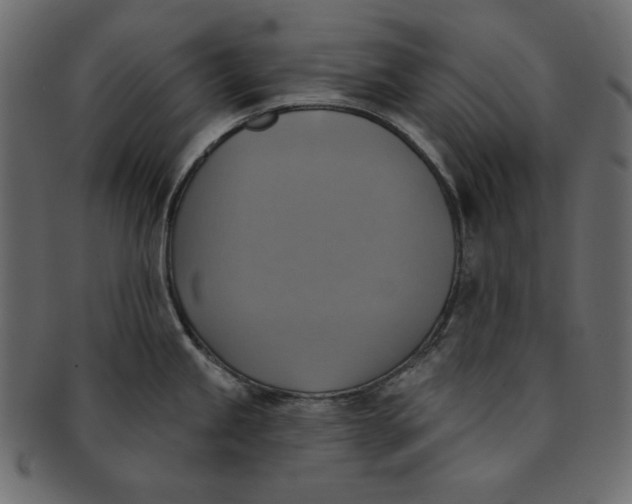 X0000091851245200709261201