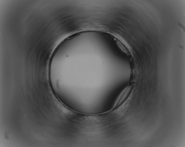 X0000091851246200709261201