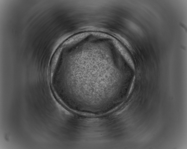 X0000091851247200709261201