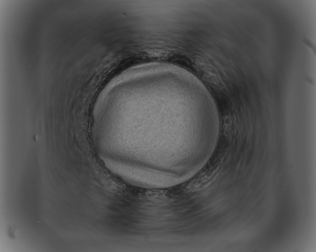 X0000091851249200709261200