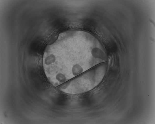 X0000091851251200709261200