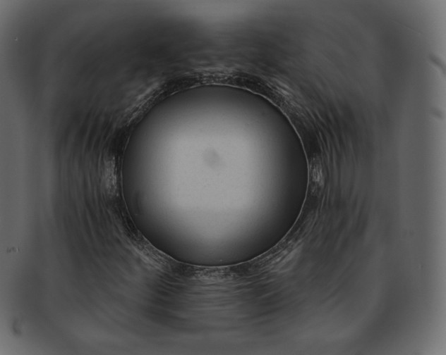 X0000091851252200709261200