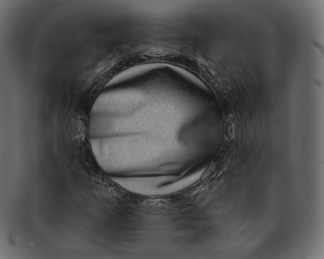 X0000091851253200709261200