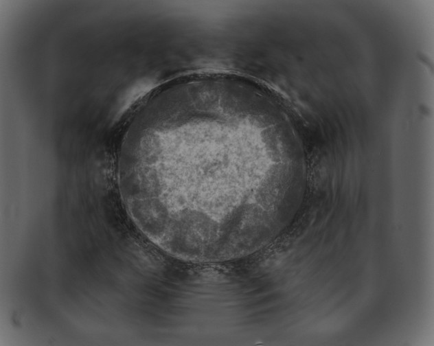 X0000091851255200709261200