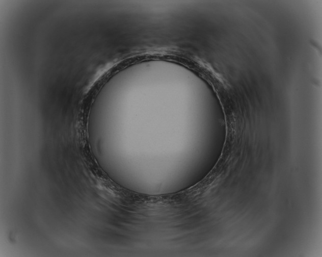 X0000091851256200709261200