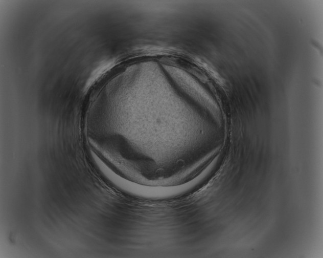 X0000091851261200709261200