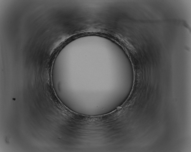 X0000091851262200709261200