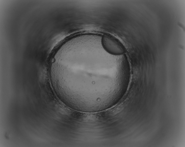 X0000091851263200709261200