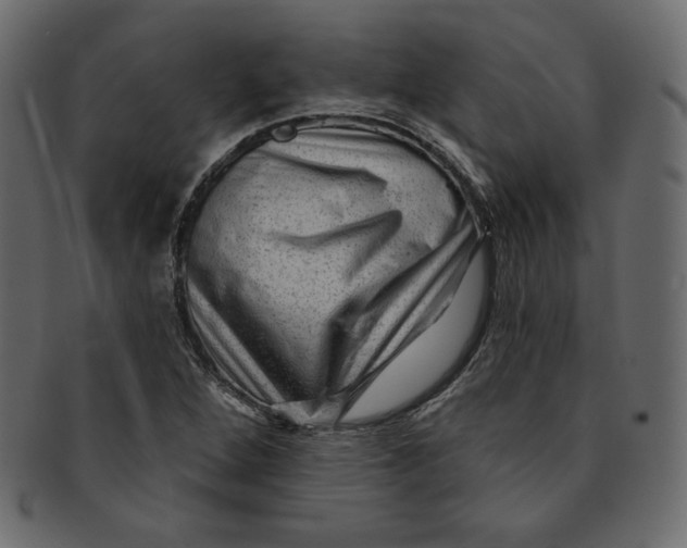 X0000091851264200709261200