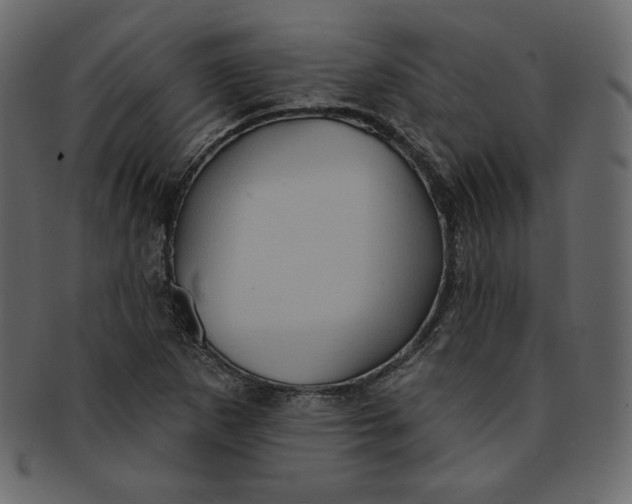 X0000091851265200709261200