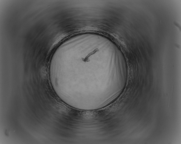 X0000091851266200709261200