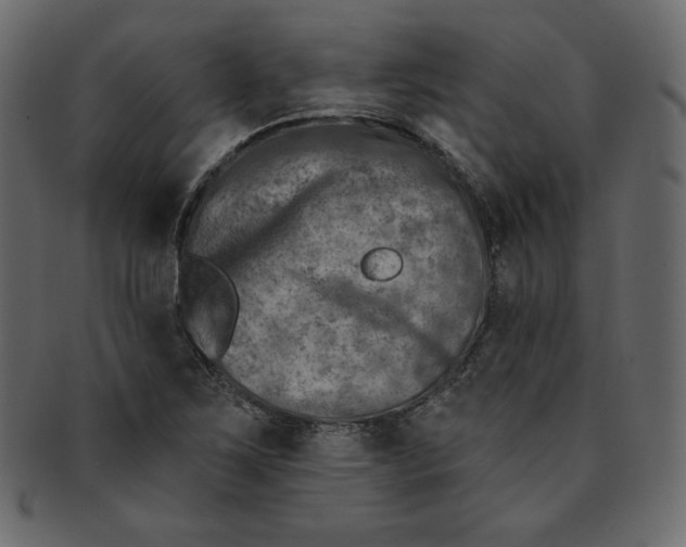 X0000091851267200709261200