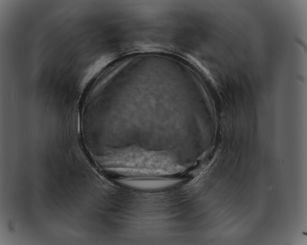 X0000091851269200709261200