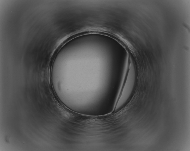 X0000091851272200709261200