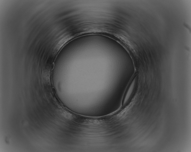 X0000091851273200709261200