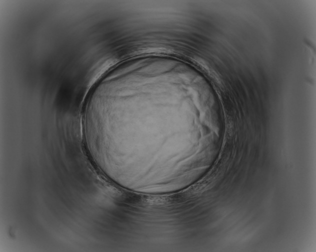 X0000091851274200709261200