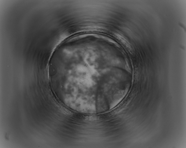 X0000091851275200709261200