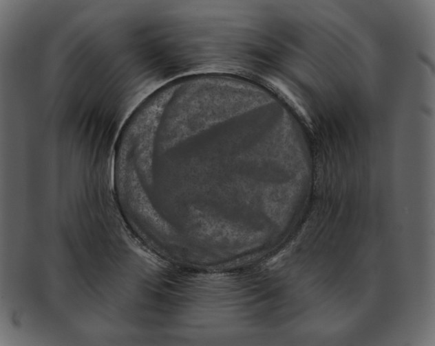 X0000091851276200709261200