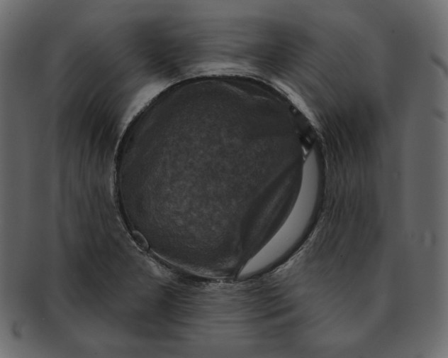 X0000091851277200709261200