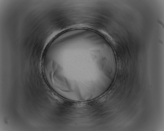 X0000091851278200709261200