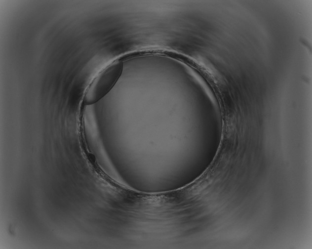 X0000091851279200709261200