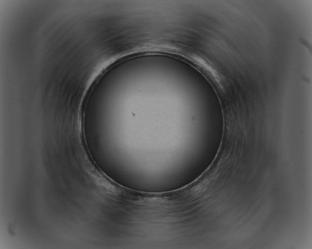 X0000091851280200709261200