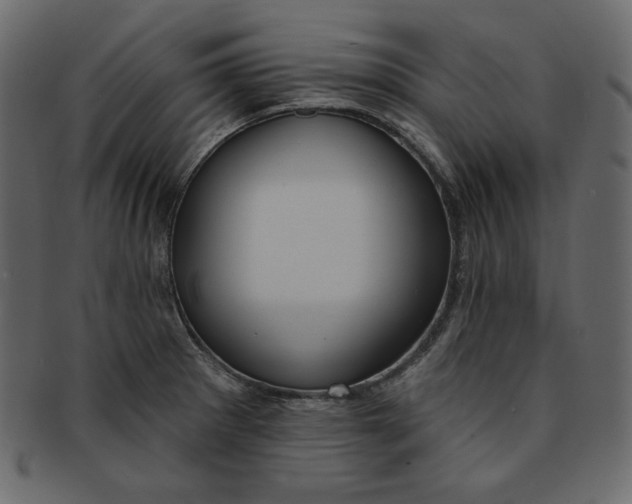 X0000091851281200709261200