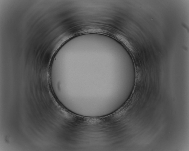 X0000091851282200709261200