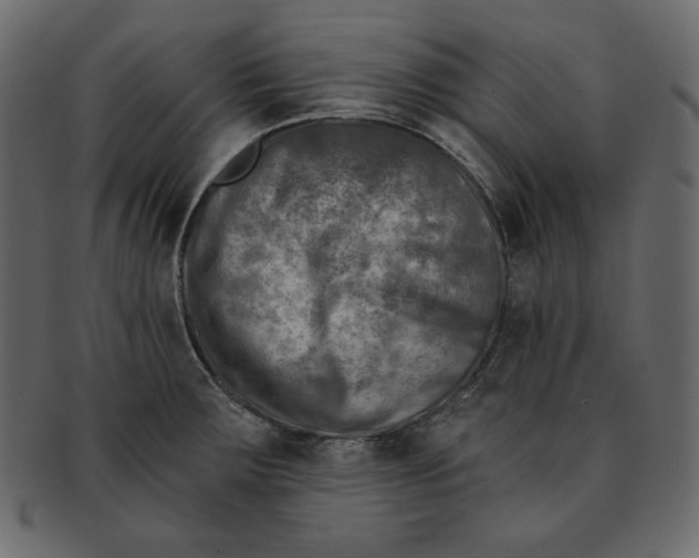 X0000091851283200709261200