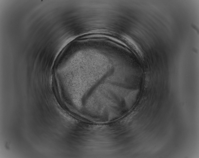 X0000091851284200709261200