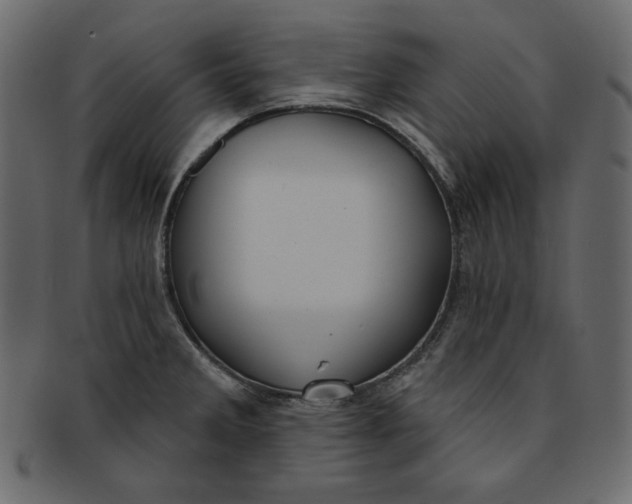 X0000091851285200709261200