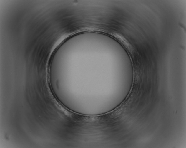 X0000091851286200709261200