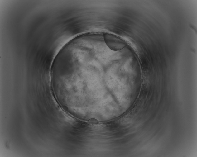 X0000091851287200709261200