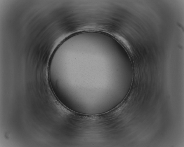 X0000091851288200709261200