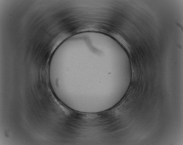 X0000091851290200709261200