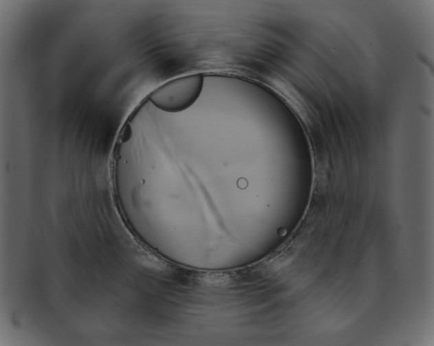 X0000091851291200709261200