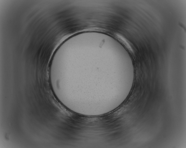 X0000091851292200709261200