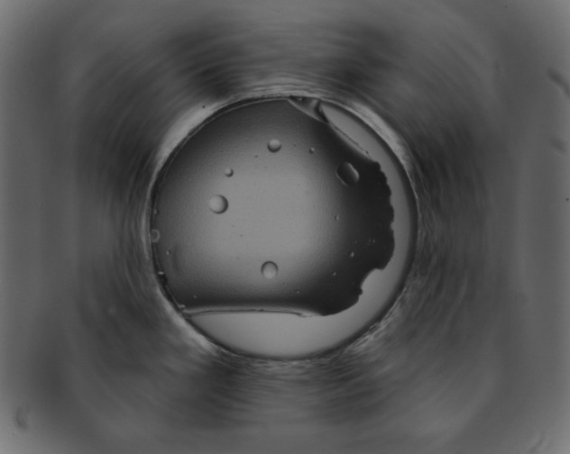 X0000091851293200709261200