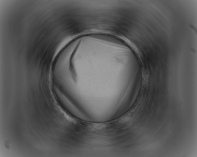 X0000091851294200709261200