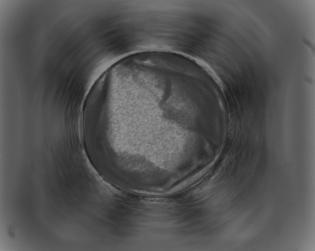 X0000091851295200709261200